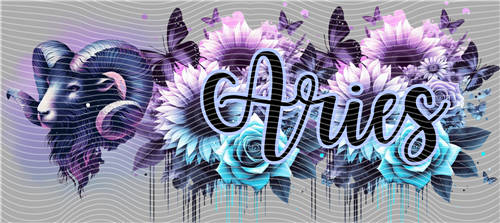 16oz Latest Bestseller-C 7790